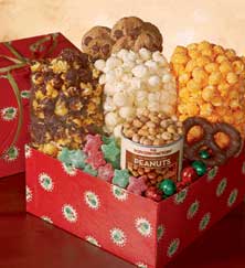 Holly Dots Sampler
