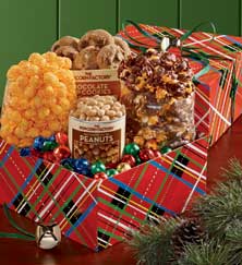 
Holiday Plaid Sampler