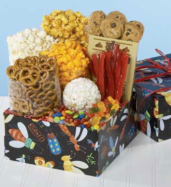 Bug Box Sampler-Bug Box